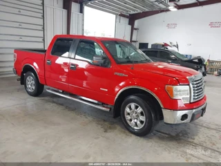 FORD FORD F-150 XLT