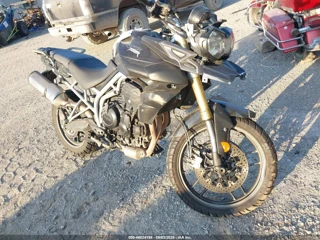 TRIUMPH MOTORCYCLE TRIUMPH MOTORCYCLE TIGER 800/ABS