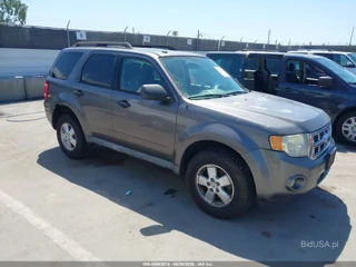 FORD FORD ESCAPE XLT
