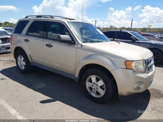 FORD FORD ESCAPE XLT