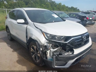 HONDA HONDA CR-V 2WD SPECIAL EDITION