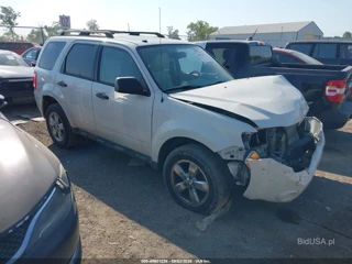 FORD FORD ESCAPE XLT