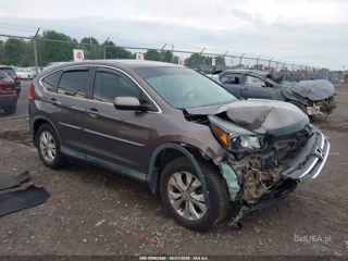 HONDA HONDA CR-V EX