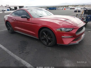 FORD FORD MUSTANG ECOBOOST FASTBACK