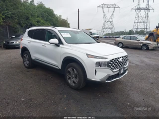 HYUNDAI HYUNDAI SANTA FE SEL