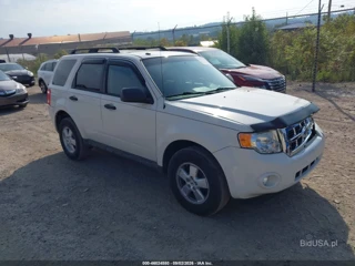 FORD FORD ESCAPE XLT