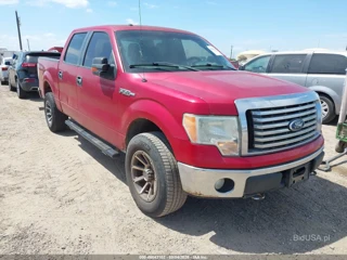 FORD FORD F-150 XLT