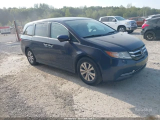 HONDA HONDA ODYSSEY SE