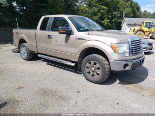 FORD FORD F-150 XLT