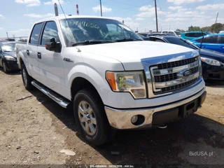 FORD FORD F-150 XLT