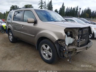 HONDA HONDA PILOT EX-L