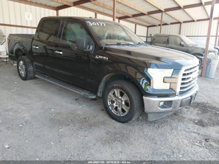 FORD FORD F-150 XLT