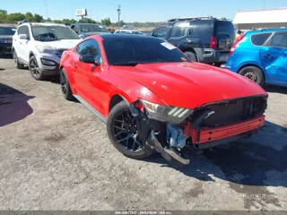 FORD FORD MUSTANG V6