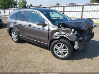 HONDA HONDA CR-V EX-L