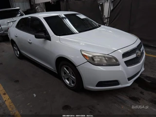 CHEVROLET CHEVROLET MALIBU 1LS