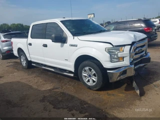 FORD FORD F-150 XLT