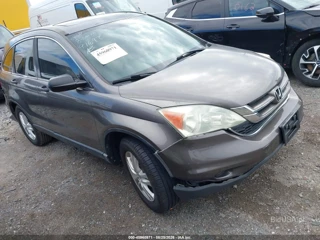 HONDA HONDA CR-V EX