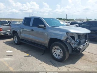 CHEVROLET CHEVROLET COLORADO 2WD WT