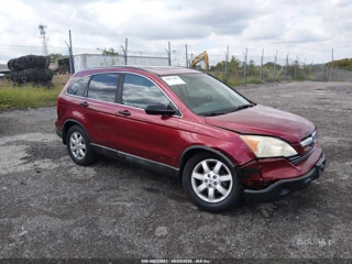 HONDA HONDA CR-V EX