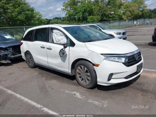 HONDA HONDA ODYSSEY EX-L