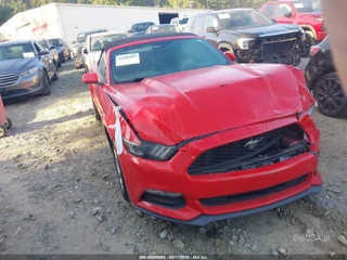 FORD FORD MUSTANG V6