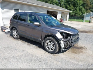 HONDA HONDA CR-V EX-L