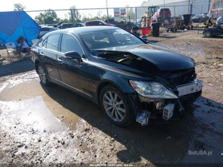 LEXUS LEXUS LS 460