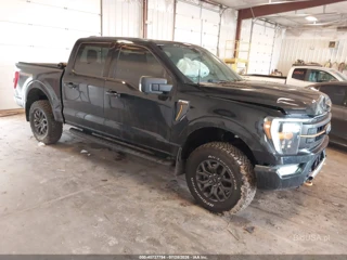 FORD FORD F-150 TREMOR
