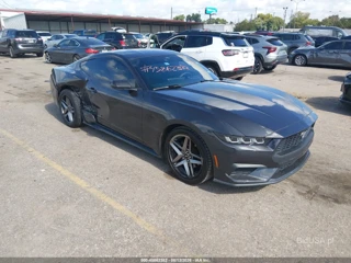 FORD FORD MUSTANG ECOBOOST FASTBACK