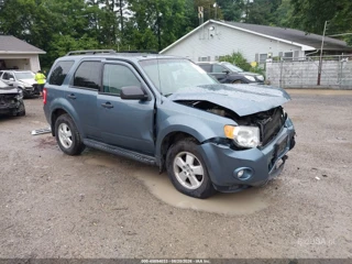 FORD FORD ESCAPE XLT