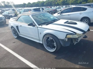 FORD FORD MUSTANG