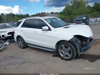 MERCEDES-BENZ MERCEDES-BENZ GLE 350