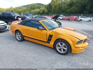 FORD FORD MUSTANG GT DELUXE/GT PREMIUM