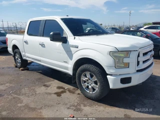 FORD FORD F-150 XLT