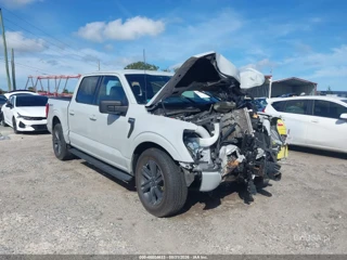 FORD FORD F-150 XLT