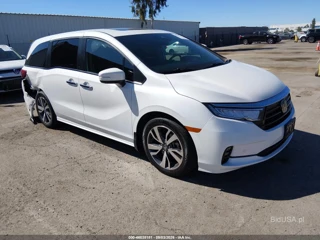 HONDA HONDA ODYSSEY TOURING
