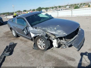FORD FORD MUSTANG V6