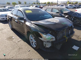 NISSAN NISSAN MAXIMA 3.5 SV