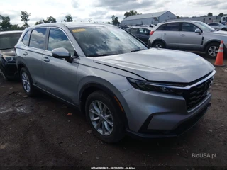HONDA HONDA CR-V EX AWD