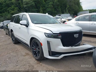 CADILLAC CADILLAC ESCALADE 4WD SPORT PLATINUM