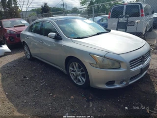 NISSAN NISSAN MAXIMA 3.5 SV