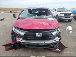 HONDA HONDA ODYSSEY SPORT