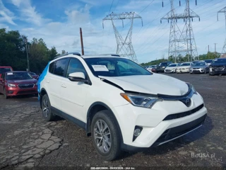 TOYOTA TOYOTA RAV4 XLE