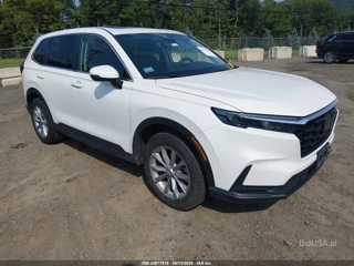 HONDA HONDA CR-V EX-L AWD