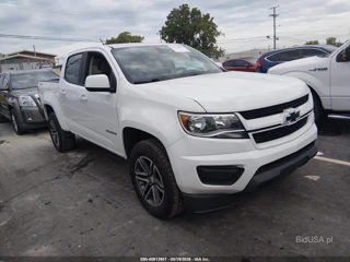 CHEVROLET CHEVROLET COLORADO WT