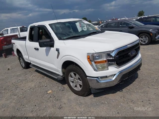 FORD FORD F-150 XLT