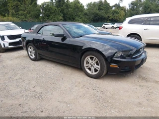 FORD FORD MUSTANG V6