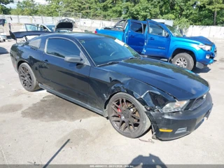 FORD FORD MUSTANG V6