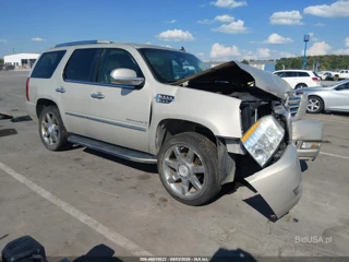 CADILLAC CADILLAC ESCALADE STANDARD