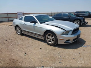 FORD FORD MUSTANG V6